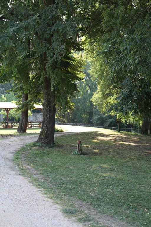 Agriturismo Corte Pellegrini San Martino Buon Albergo Luaran gambar